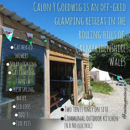 Calon Y Goedwig Glamping Hotell Llandovery Exteriör bild