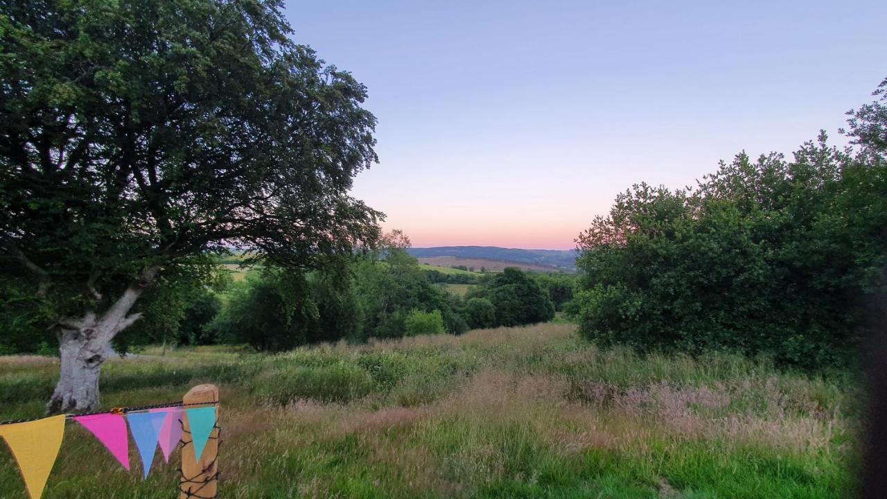 Calon Y Goedwig Glamping Hotell Llandovery Exteriör bild