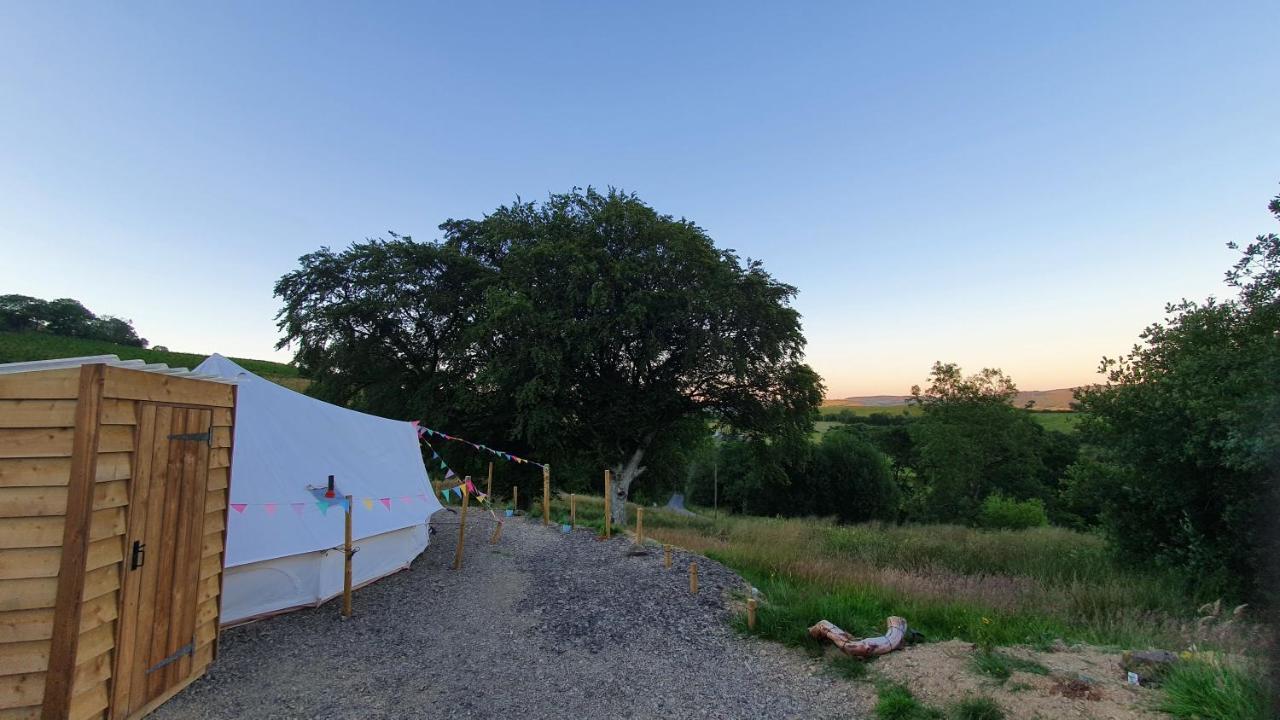 Calon Y Goedwig Glamping Hotell Llandovery Exteriör bild