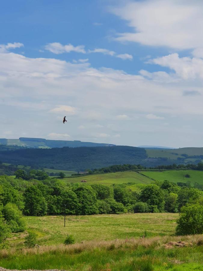 Calon Y Goedwig Glamping Hotell Llandovery Exteriör bild