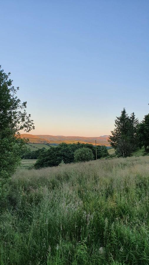 Calon Y Goedwig Glamping Hotell Llandovery Exteriör bild
