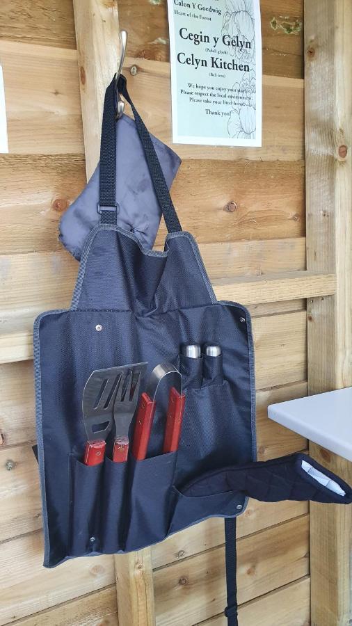 Calon Y Goedwig Glamping Hotell Llandovery Exteriör bild