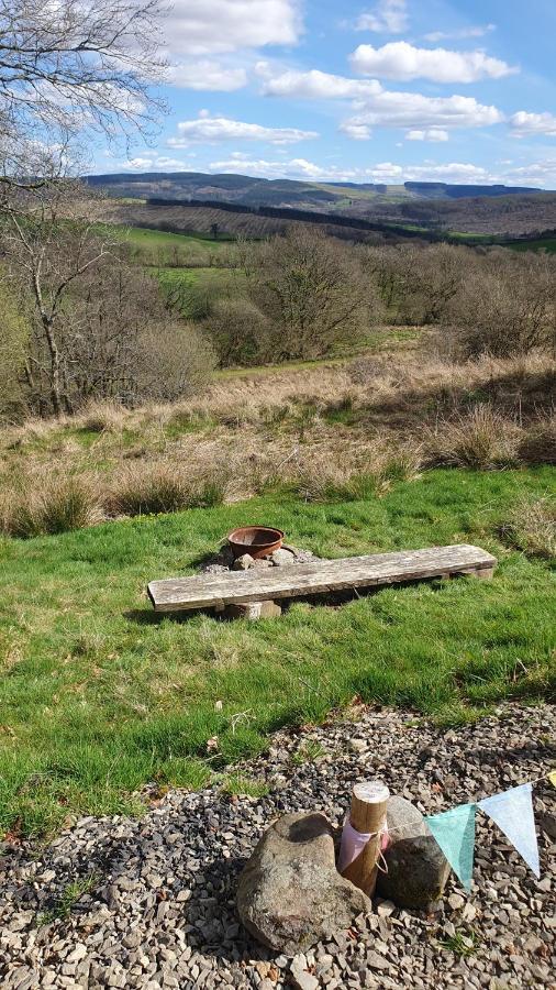 Calon Y Goedwig Glamping Hotell Llandovery Exteriör bild