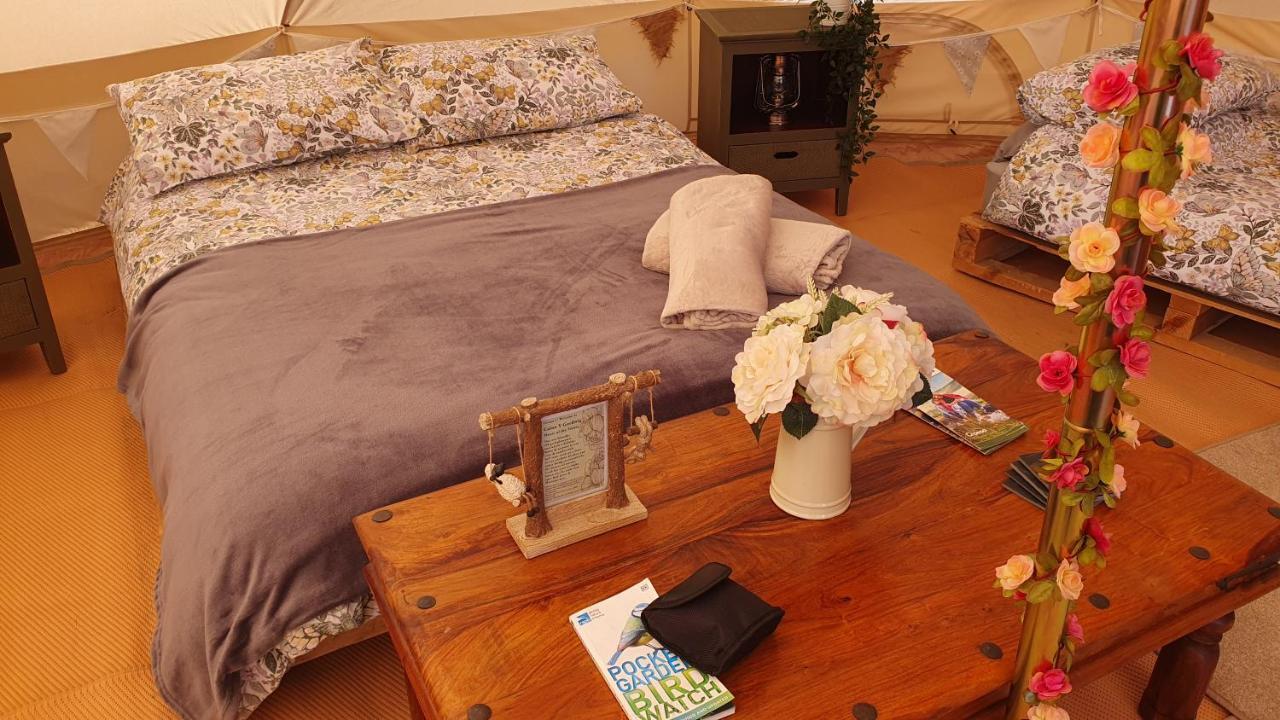 Calon Y Goedwig Glamping Hotell Llandovery Exteriör bild