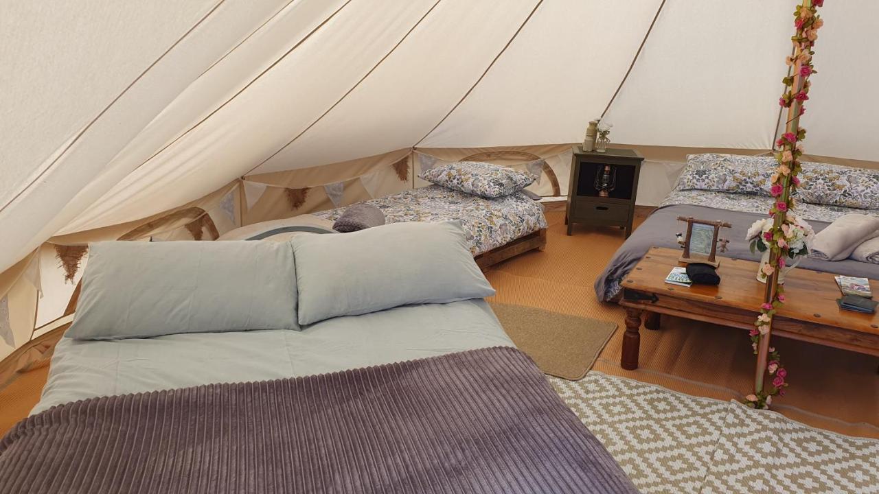 Calon Y Goedwig Glamping Hotell Llandovery Exteriör bild