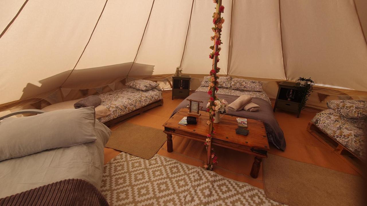 Calon Y Goedwig Glamping Hotell Llandovery Exteriör bild