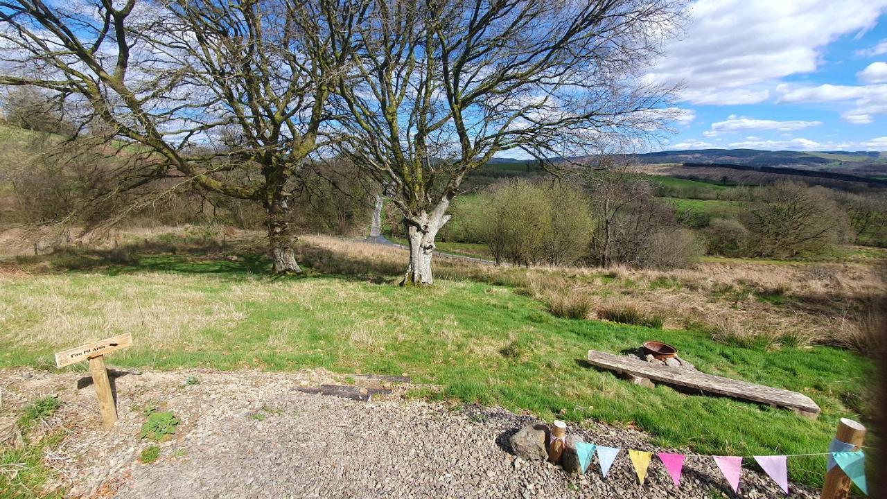 Calon Y Goedwig Glamping Hotell Llandovery Exteriör bild