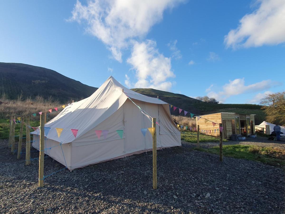 Calon Y Goedwig Glamping Hotell Llandovery Exteriör bild