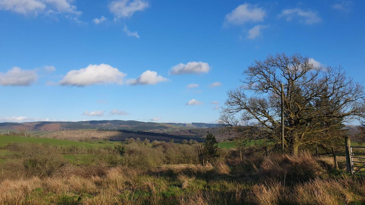 Calon Y Goedwig Glamping Hotell Llandovery Exteriör bild