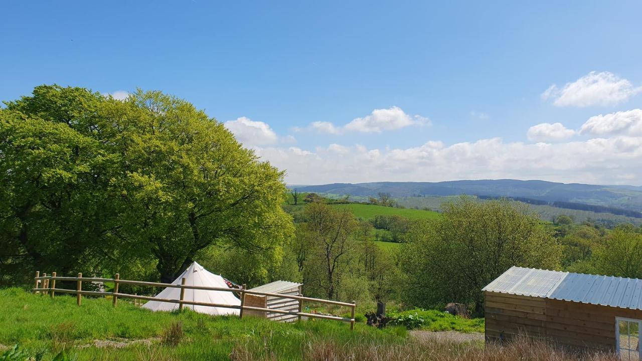 Calon Y Goedwig Glamping Hotell Llandovery Exteriör bild