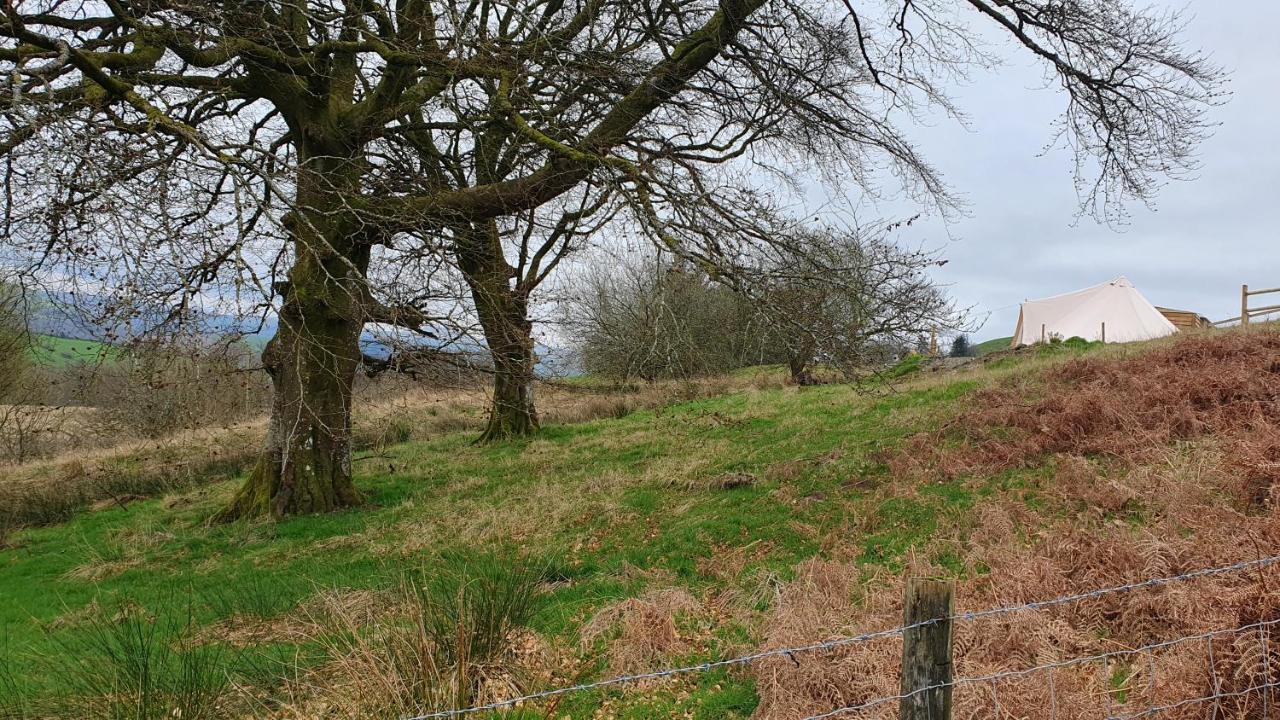 Calon Y Goedwig Glamping Hotell Llandovery Exteriör bild