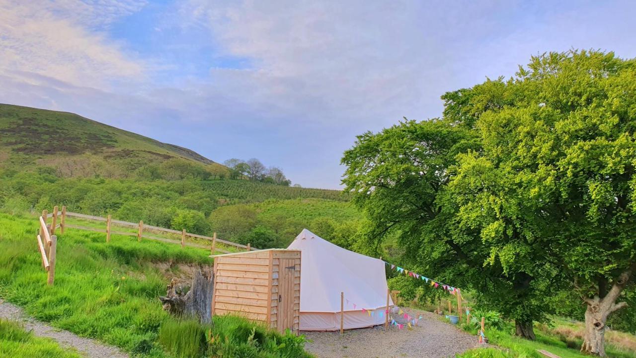 Calon Y Goedwig Glamping Hotell Llandovery Exteriör bild