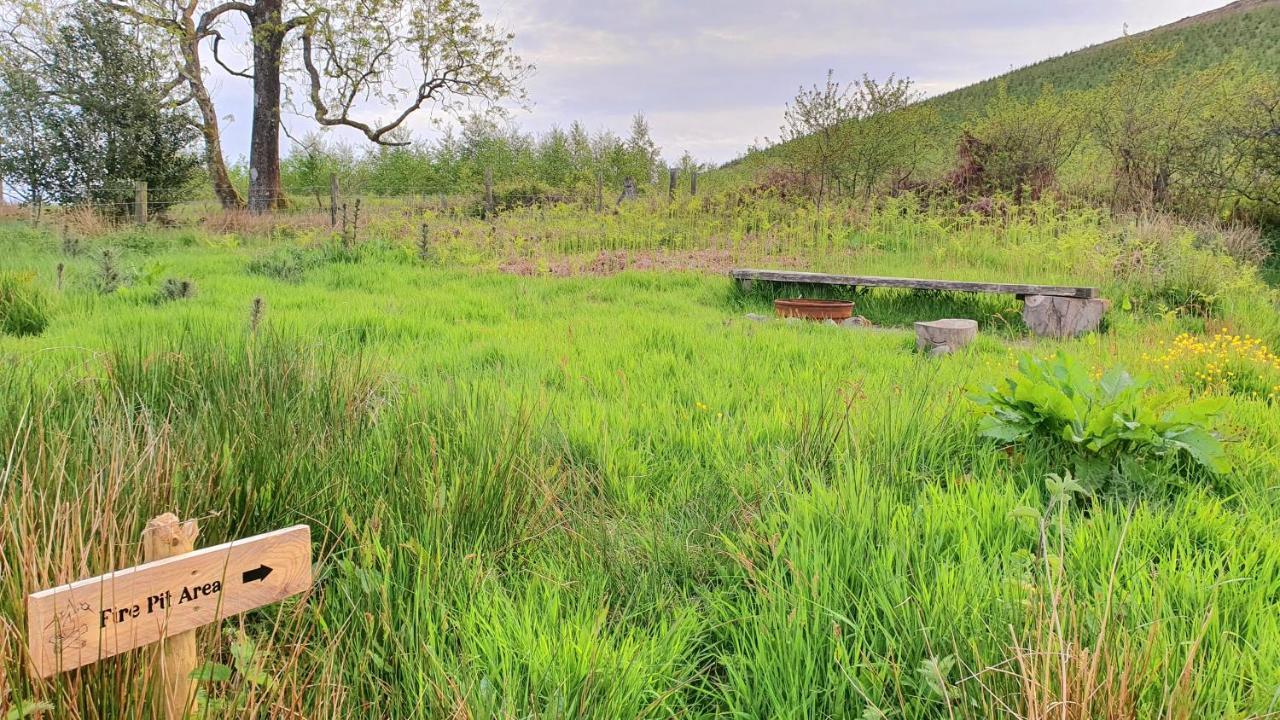 Calon Y Goedwig Glamping Hotell Llandovery Exteriör bild