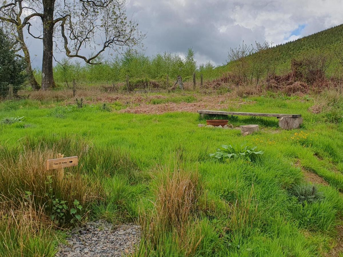 Calon Y Goedwig Glamping Hotell Llandovery Exteriör bild