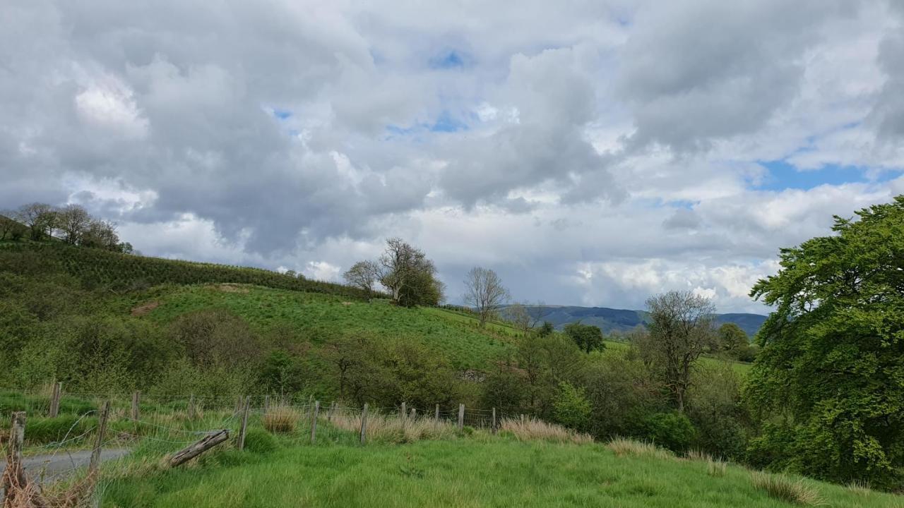 Calon Y Goedwig Glamping Hotell Llandovery Exteriör bild