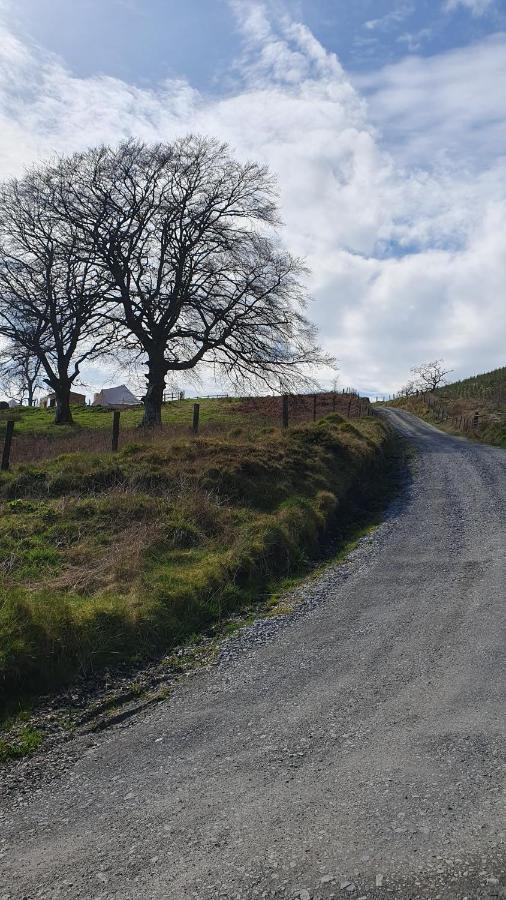 Calon Y Goedwig Glamping Hotell Llandovery Exteriör bild