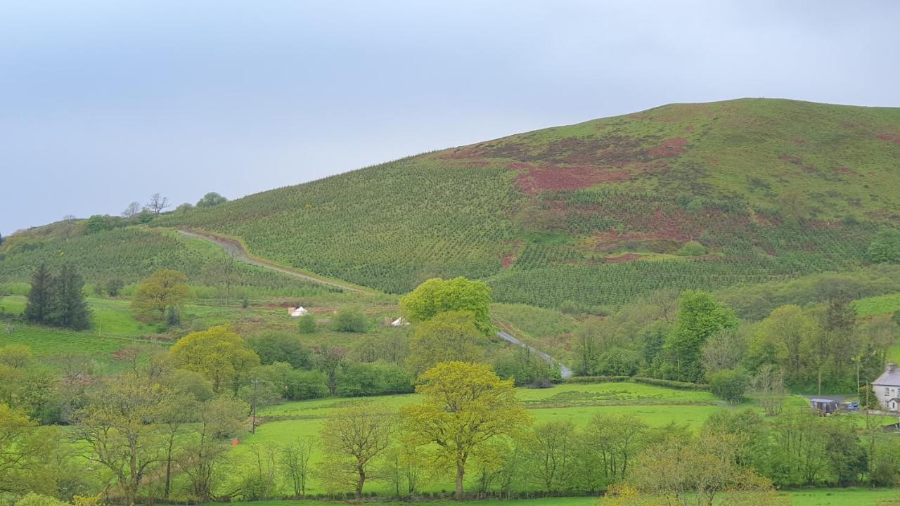 Calon Y Goedwig Glamping Hotell Llandovery Exteriör bild