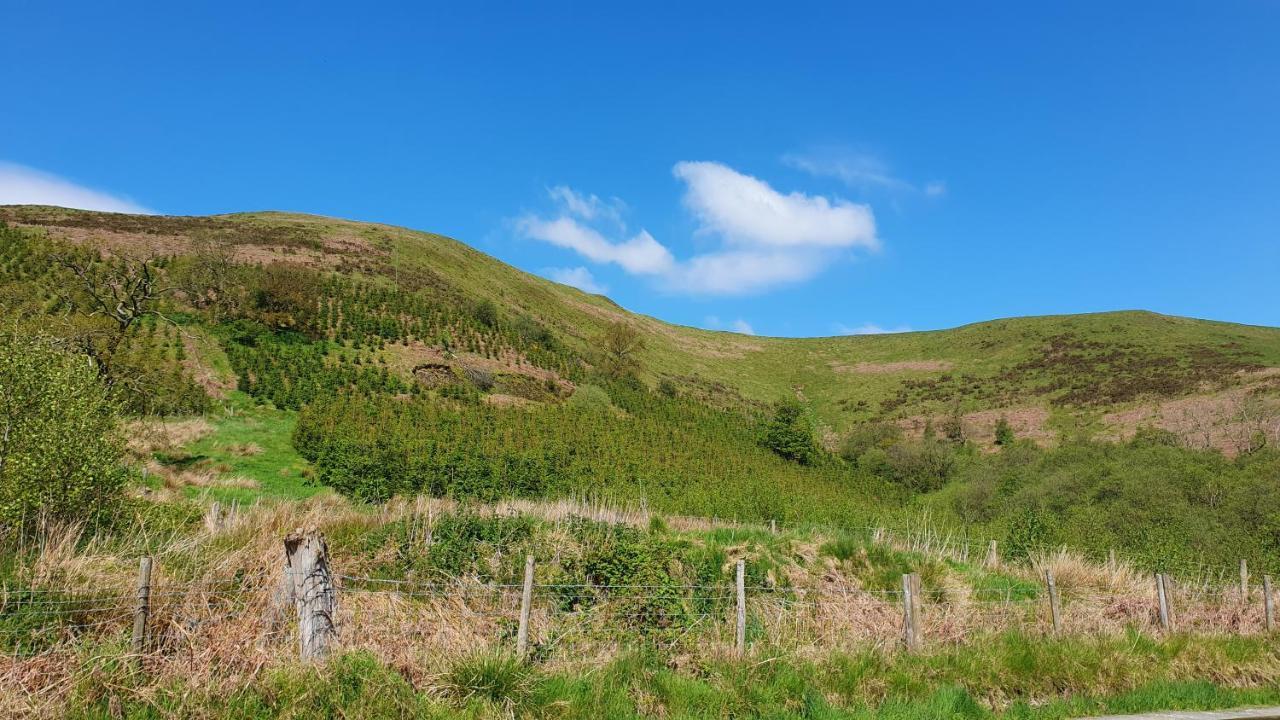 Calon Y Goedwig Glamping Hotell Llandovery Exteriör bild