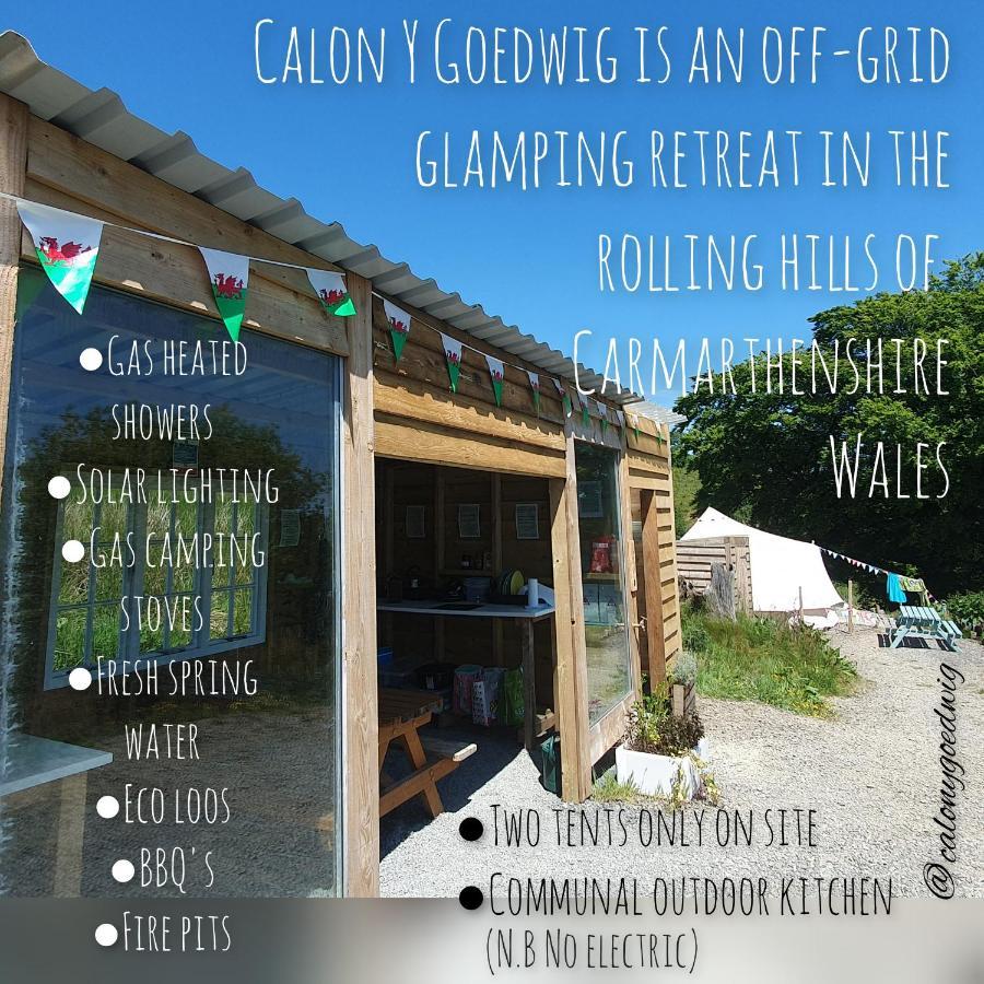 Calon Y Goedwig Glamping Hotell Llandovery Exteriör bild