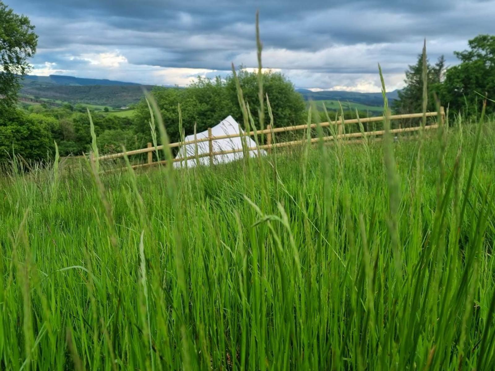 Calon Y Goedwig Glamping Hotell Llandovery Exteriör bild